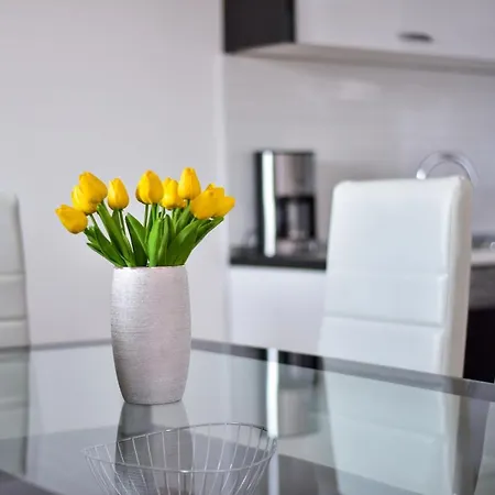 Visnjik Apartment Zadar