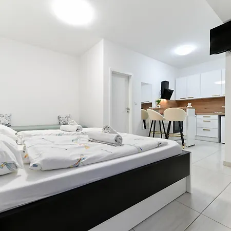 Apartment Visnjik