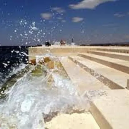 Visnjik زادار