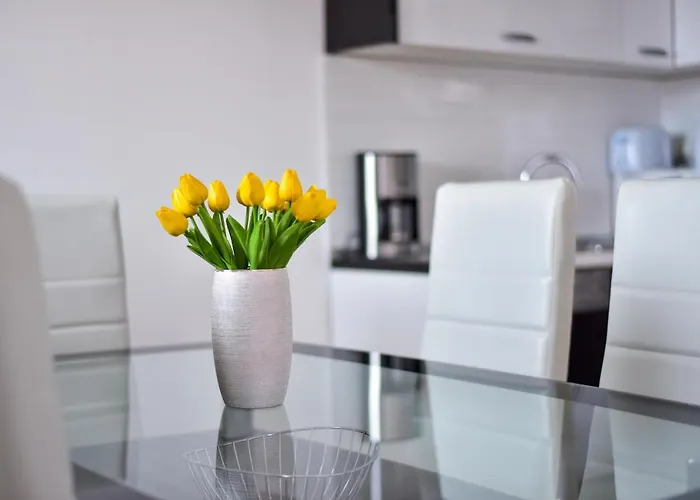 Visnjik شقة زادار